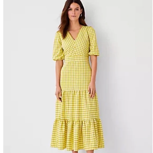 Ann Taylor Citron Gingham Preppy Midi Dress Size 10 NWOT - Picture 1 of 10